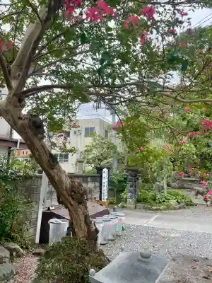 惣善寺(福島県)