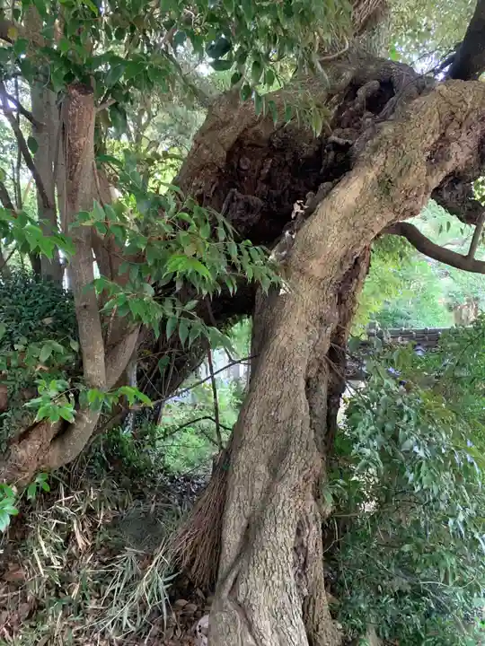 光明寺(千葉県)