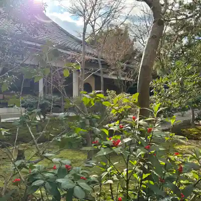 興聖寺(京都府)