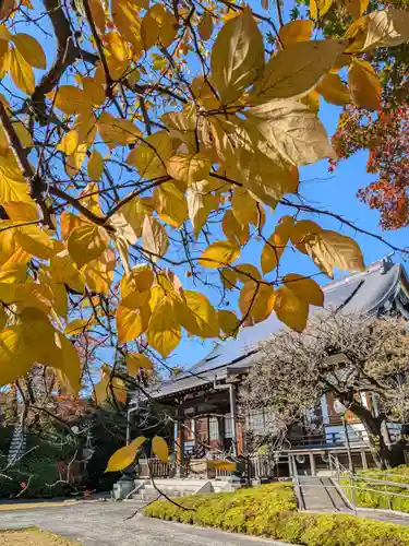 福蔵院(東京都)