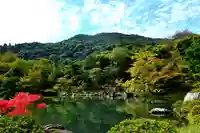 天龍寺の景色