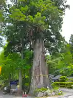 戸隠神社中社(長野県)