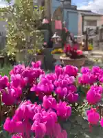 哀愍寺(ちぎり地蔵尊)(大阪府)