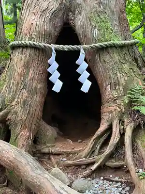 戸隠神社奥社(長野県)