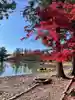 毛越寺の庭園