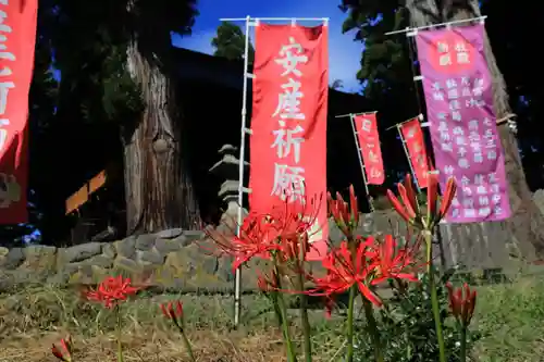 高司神社〜むすびの神の鎮まる社〜の庭園