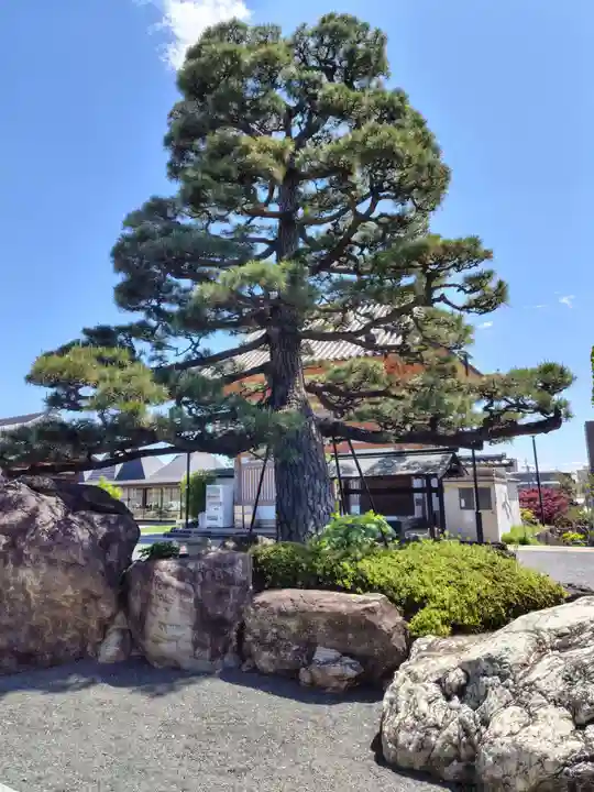 総持寺(大阪府)