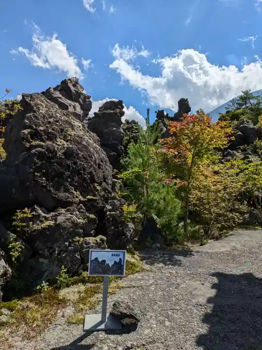 寛永寺別院浅間山観音堂の自然