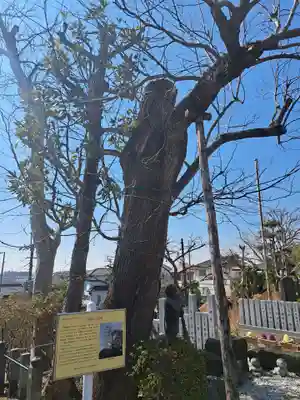 寿量院(千葉県)