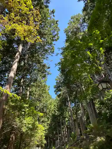 三峯神社(埼玉県)