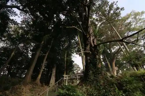 阿久津「田村神社」（郡山市阿久津町）旧社名：伊豆箱根三嶋三社の鳥居