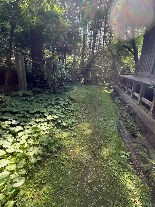 五所駒瀧神社(茨城県)