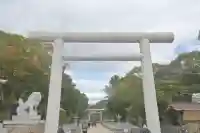 伊弉諾神宮の{uncategorized: "未分類", other: "その他", undefined: "問題あり", building: "その他建物", grave: "お墓", sacred_gate: "鳥居", guardian: "狛犬", statue: "像", buddha: "仏像", history: "歴史", nature: "自然", garden: "庭園", animal: "動物", pagoda: "塔", temizu: "手水舎", mountain_gate: "山門・神門", sanctuary: "本殿・本堂", subordinate: "末社・摂社", art: "芸術", scenery: "景色", jizo: "地蔵", ema: "絵馬", goshuin: "御朱印", omikuji: "おみくじ", items: "授与品その他", amulet: "お守り", goshuincho: "御朱印帳", eats: "食事", festival: "お祭り", votive_dance: "神楽", shichigosan: "七五三参", wedding: "結婚式", experience: "体験その他", initially: "初詣", around: "周辺", anti_infection: "感染症対策"}