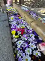 群馬県護国神社(群馬県)