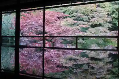 光明寺瑠璃光院(京都府)