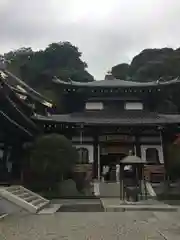 長谷寺(神奈川県)