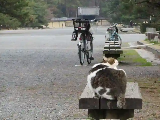 白雲神社(京都府)