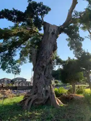 円城寺(千葉県)