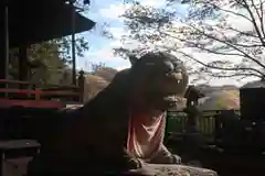 満願寺の狛犬