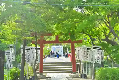 鶴岡八幡宮(神奈川県)