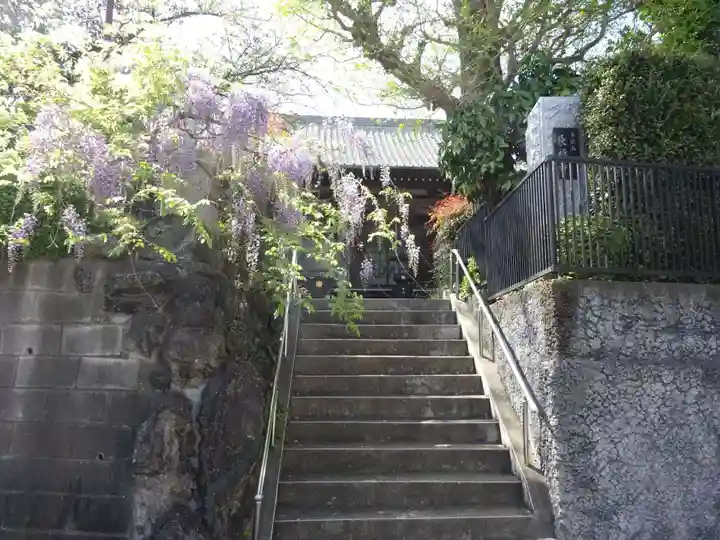 長福寺(神奈川県)