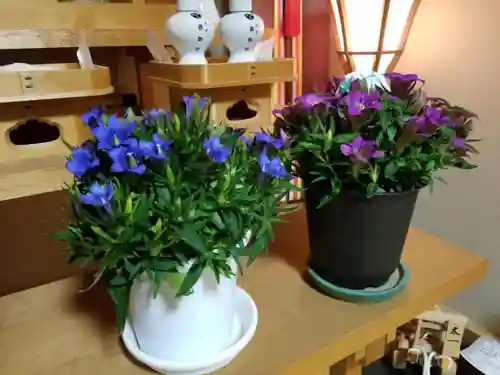 伏木香取神社(茨城県)