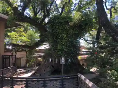 筥崎宮(福岡県)
