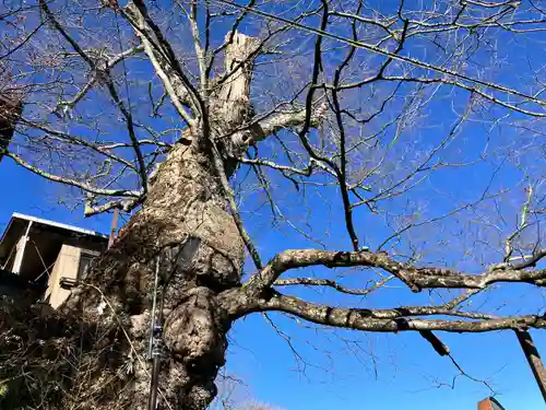 武蔵御嶽神社(東京都)