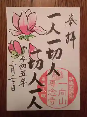 今月の木蓮のお花