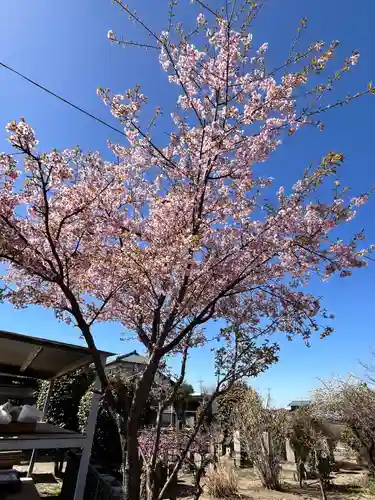 徳川東照宮(群馬県)