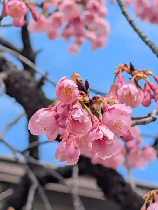 潮田神社(神奈川県)