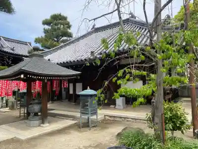 葛井寺の{uncategorized: "未分類", other: "その他", undefined: "問題あり", building: "その他建物", grave: "お墓", sacred_gate: "鳥居", guardian: "狛犬", statue: "像", buddha: "仏像", history: "歴史", nature: "自然", garden: "庭園", animal: "動物", pagoda: "塔", temizu: "手水舎", mountain_gate: "山門・神門", sanctuary: "本殿・本堂", subordinate: "末社・摂社", art: "芸術", scenery: "景色", jizo: "地蔵", ema: "絵馬", goshuin: "御朱印", omikuji: "おみくじ", items: "授与品その他", amulet: "お守り", goshuincho: "御朱印帳", eats: "食事", festival: "お祭り", votive_dance: "神楽", shichigosan: "七五三参", wedding: "結婚式", experience: "体験その他", initially: "初詣", around: "周辺", anti_infection: "感染症対策"}