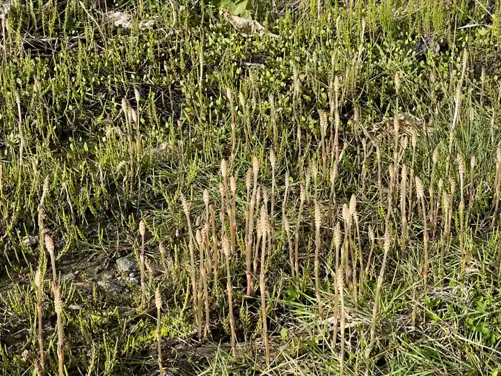 延命寺(山形県)