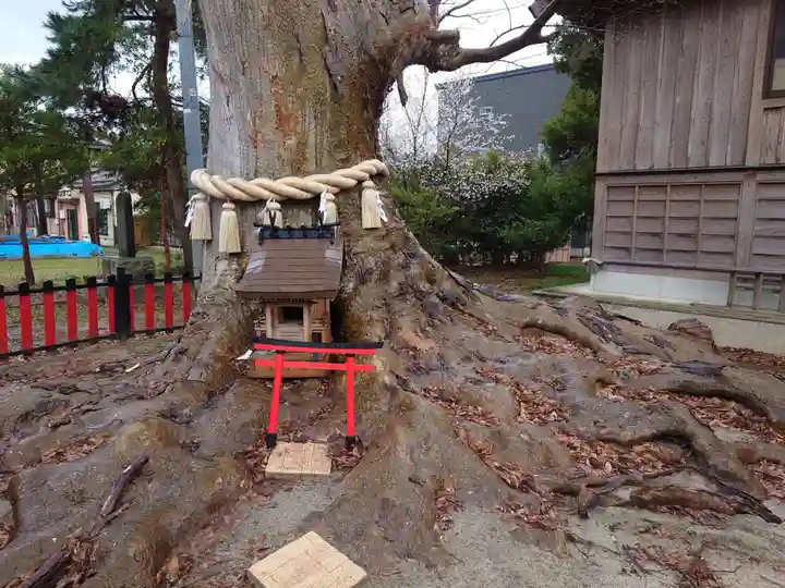曽根神社の自然