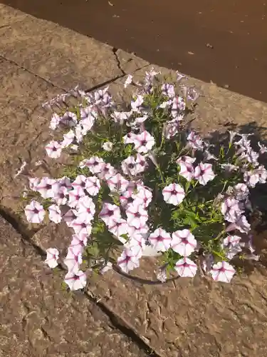 伏木香取神社の自然