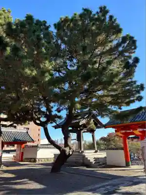 鴨江寺(静岡県)