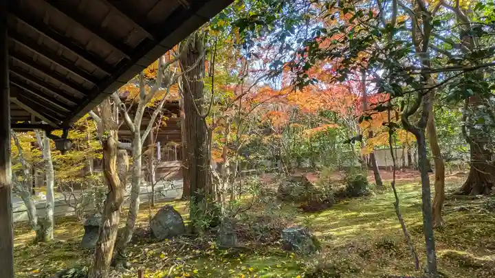 蓮華寺(洛北蓮華寺)(京都府)