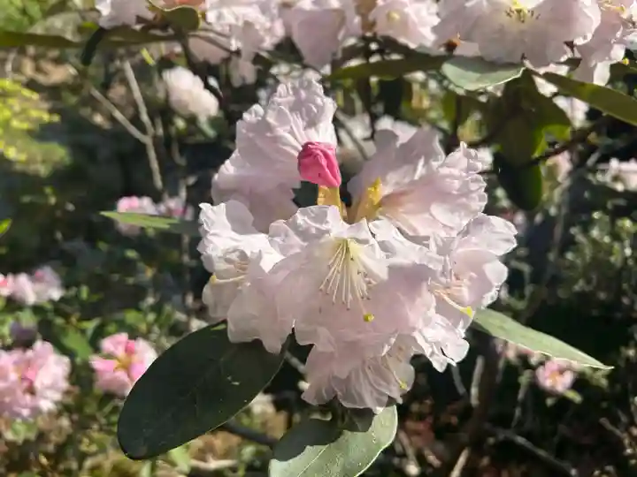 木舟山 順教寺(広島県)