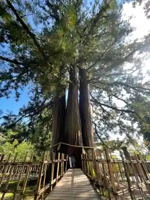 戸隠神社中社(長野県)