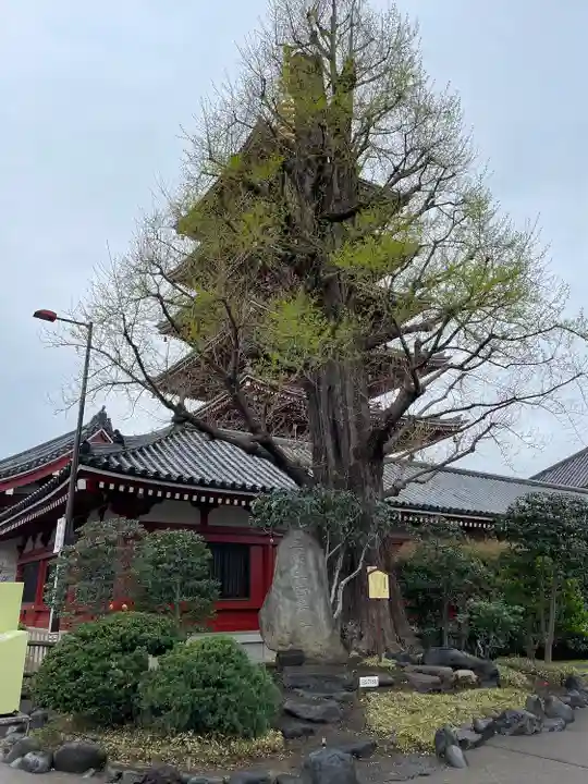 浅草寺(東京都)