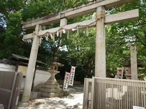 刺田比古神社の鳥居
