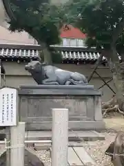 大阪天満宮(大阪府)