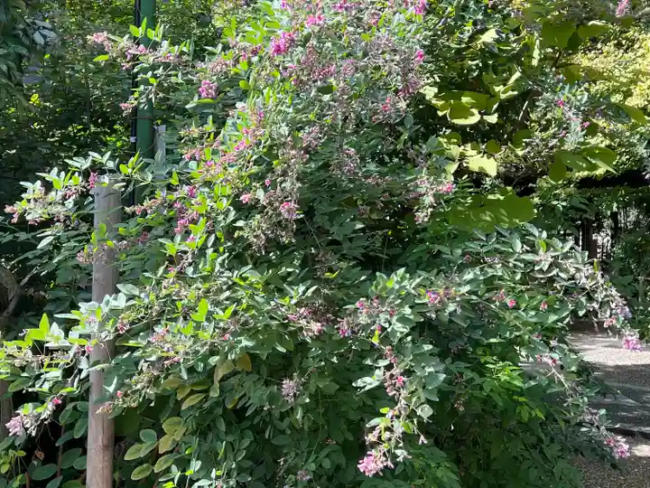 梨木神社(京都府)