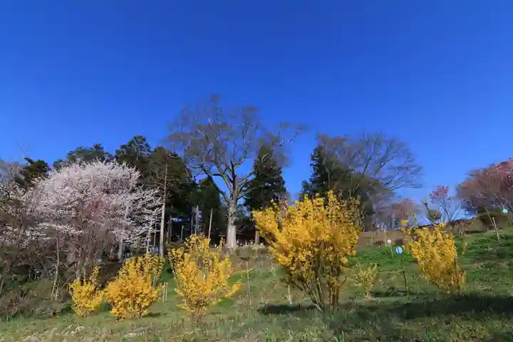 阿久津「田村神社」(郡山市阿久津町)旧社名:伊豆箱根三嶋三社の景色