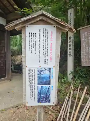 天津神明宮(千葉県)