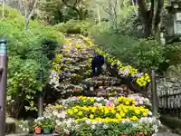 長谷寺(奈良県)