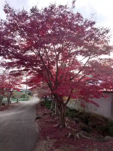 明鏡山龍雲寺の自然