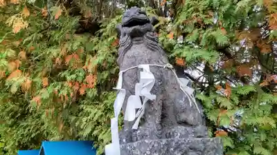 出雲神社の狛犬