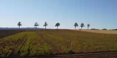 美幌神社の周辺