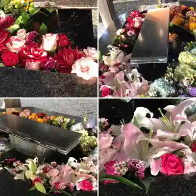 新琴似神社の手水舎